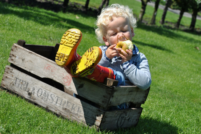 Fruittuin Verbeek